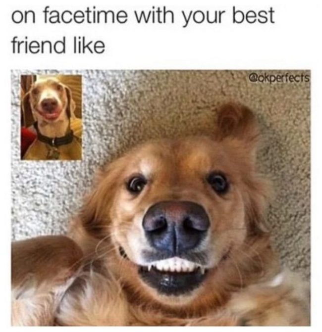 Are You Really BFFs If You Both Don't Share Memes About Being BFFs? (21 ...