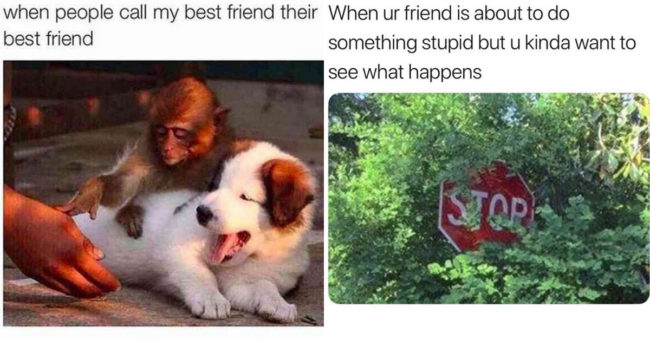 Are You Really BFFs If You Both Don't Share Memes About Being BFFs? (21 ...