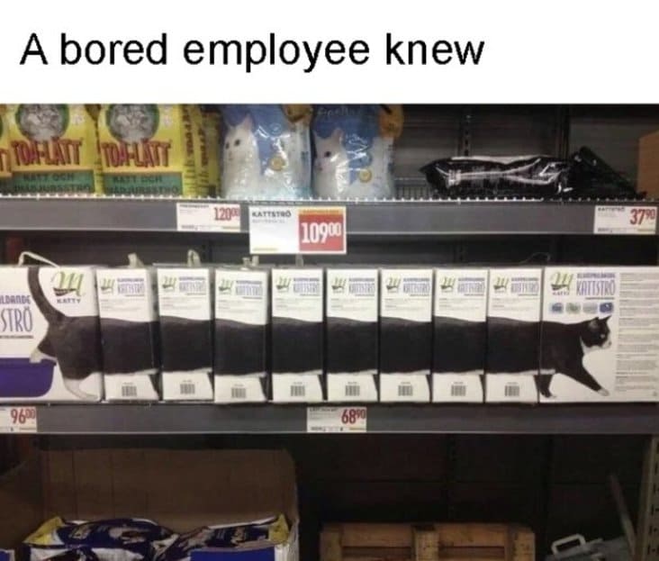 funny design placement