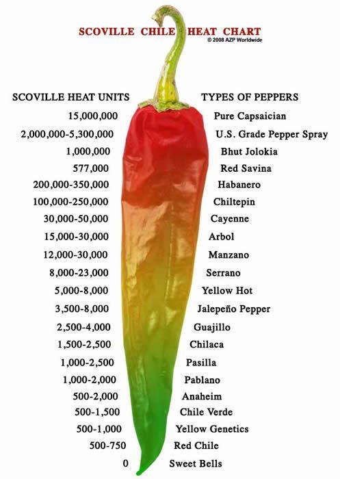 scoville chili heat chart, infographics, cool infographics, interesting inforgraphics, cool guides cool charts, interesting guides, interesting guide, cool guide random guides, random cool guides, random interesting guides, cool charts, interesting charts, random charts, informative charts, cool chart, interesting chart, random chart