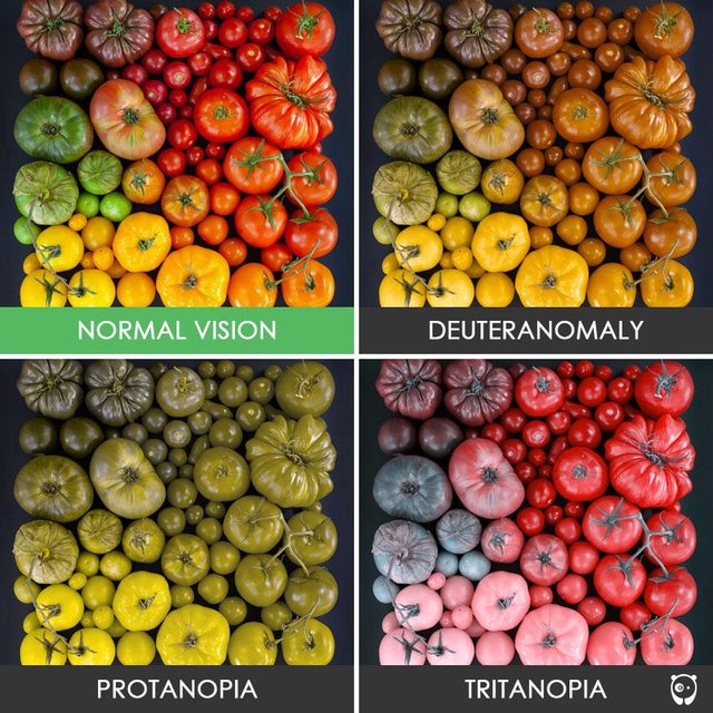 forms of color blindness chart