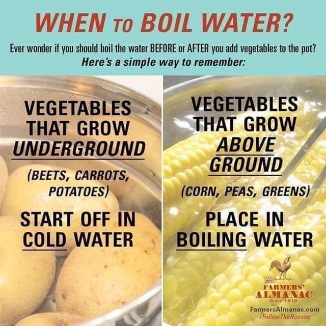 when to boil vegetables chart
