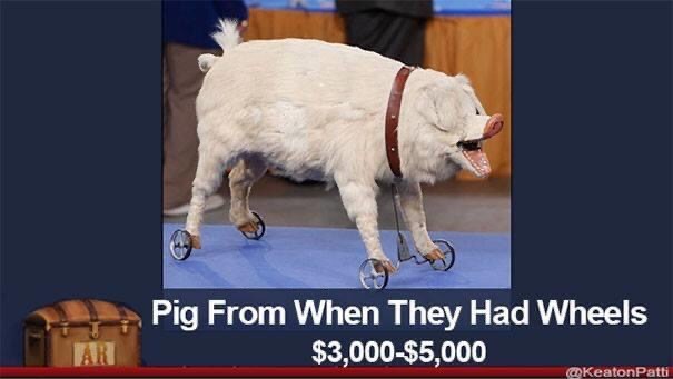 pig from when they had wheels, pig from when they had wheels antiques roadshow, pig when they had wheels antiques roadshow meme, antiques roadshow meme, antiques roadshow memes, memes about antiques roadshow, antique roadshow meme, antique roadshow memes, antiques road show meme, antiques road show memes, memes about antique roadshow, memes about antiques road show, memes about antique road show, antiques roadshow joke, antiques roadshow jokes, antique roadshow joke, antique roadshow jokes, antiques road show joke, antiques road show jokes, antique road show joke, antique road show jokes