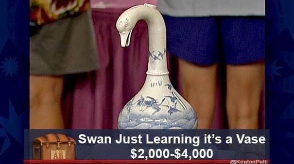 swan just learning it's a vase, swan just learning it's a vase antiques roadshow meme
