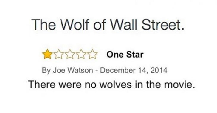 funny wolf of wall street review