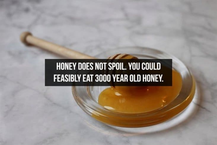 interesting honey fact
