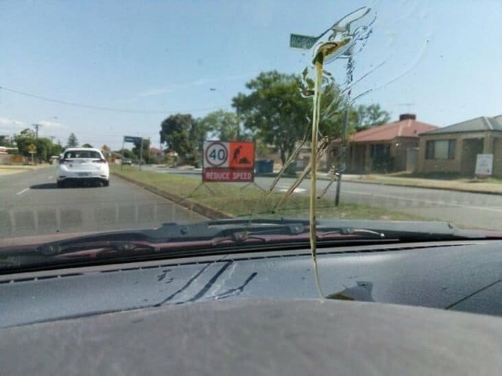 something melting on windshield