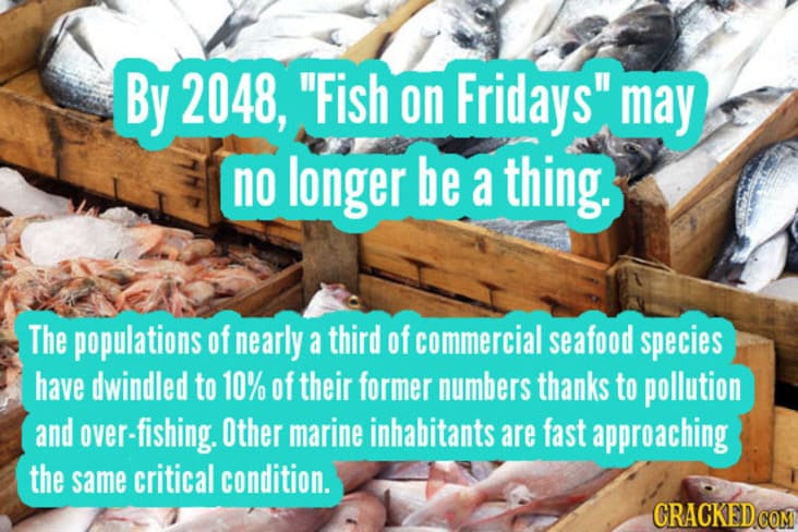 things that will become obsolete, fish to become obsolete, fish in decline statistic