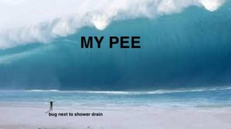 peeing in shower meme, funny memes about men, funny manly meme, manly meme, funny manly memes, manly memes, funny man meme, funny man memes, man meme, man memes, manliness meme, manliness memes, non toxic man meme, non toxic man memes, meme about being a man, memes about being a man, being a man meme, being a man memes, funny memes about being a man, funny meme about being a man, funny meme about manliness, funny memes about manliness, funny manliness meme, funny manliness memes, men meme, men memes, funny men memes, funny men meme, meme about men, memes about men