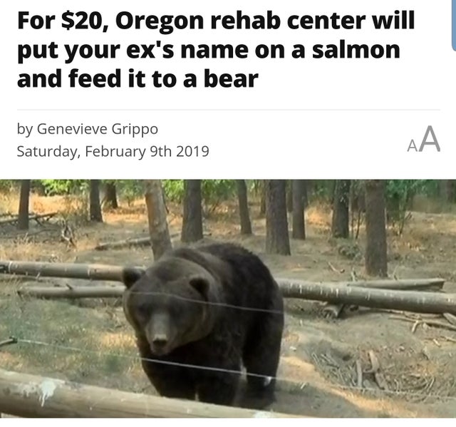 name a salmon to feed bear, feed bear named salmon