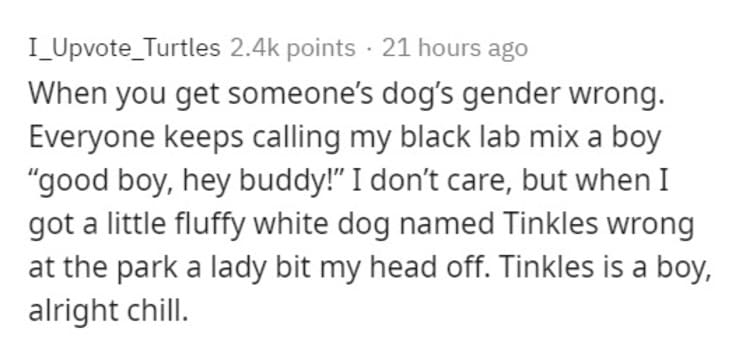 weirdest thing people get offended by, weird thing people get offended by, weird things people get offended by, weirdest thing people get upset by, weirdest things people get upset over, weird things people have gotten upset over, weirdest reasons people get upset, weirdest reasons people have gotten upset, weirdest reason person got upset, weird reasons to get upset, weird reason to get upset, strange reasons to get upset, strange reason to get upset, strange reasons people have gotten upset, strangest reasons people get upset, weird reasons people get angry, weirdest reasons people get angry, strange reasons people get angry, strangest reasons people get angry, strangest reasons people have gotten angry, What’s the weirdest thing people get offended by, dumb reasons to get upset, dumb reasons people have gotten upset, dumb things people get offended by, dumb reason to get upset, stupid reasons to get upset, stupid things people get offended by, stupid reason to get upset, stupid reasons to get angry, dumb reasons to get angry