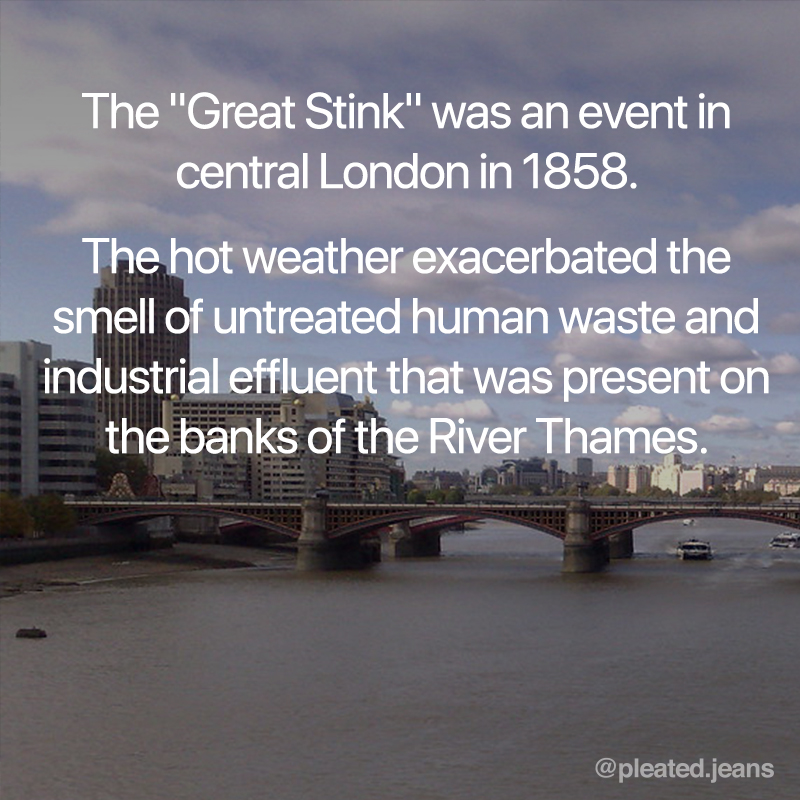 great stink fact, great stink london