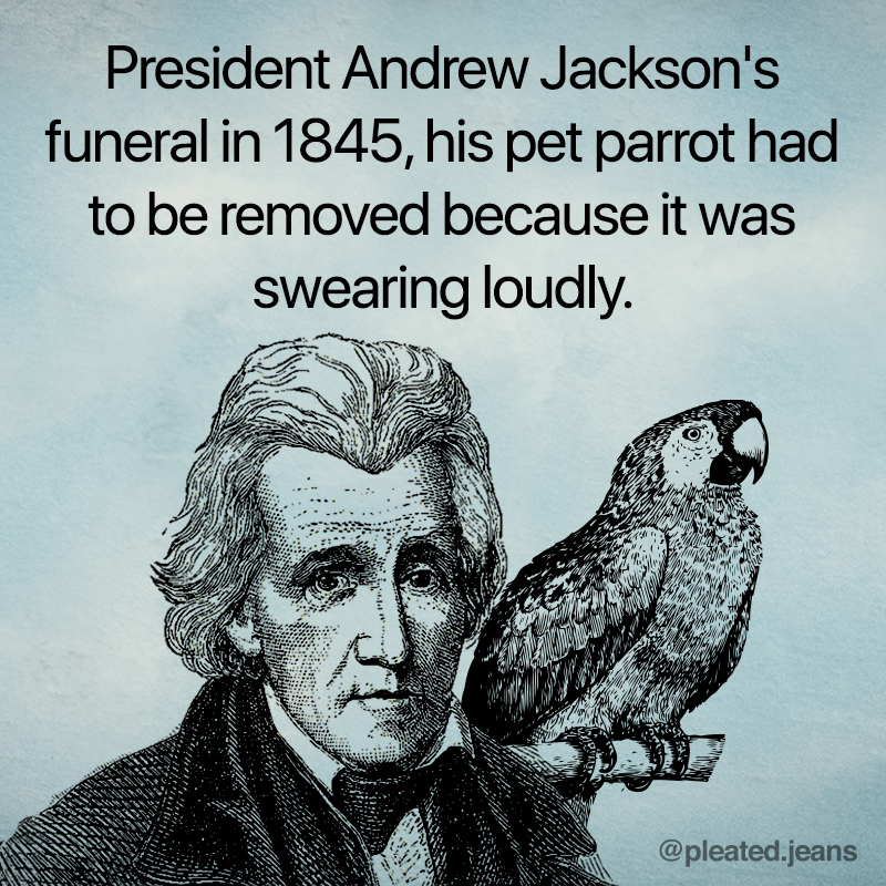 andrew jackson fact, andrew jackson swearing parrot