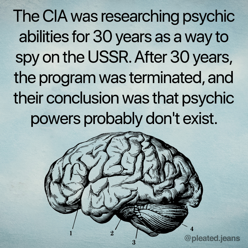 cia psychic fact, true fact, true facts, interesting fact, interesting facts, strange fact, curious fact, strange facts, curious facts, weird fact, weird facts, facts that sound made up, fact that sounds made up, really really fact, really really facts, cool fact, cool facts, random fact, random facts, random true fact, random true facts, fact meme, facts meme, fact memes, facts memes, picture with fact on it, pictures with facts, picture with fact, pictures with facts on them