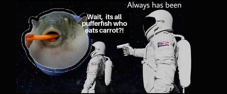 its all puffer fish meme, always has been meme, always has been memes, astronaut gun meme, astronaut gun memes, wait its all meme, wait its all memes, wait its all always has been meme, wait its all always has been memes, astronaut with a gun meme, astronaut with a gun memes, astronaut with gun meme, astronaut with gun memes, astronaut conspiracy meme, astronaut conspiracy memes, space conspiracy meme, space conspiracy memes, funny astronaut gun meme, funny astronaut with gun meme, funny astronaut gun memes, funny astronaut with gun memes, funny always has been meme, funny always has been memes, funny wait its all meme, funny wait its all memes, funny astronaut meme, funny astronaut memes, conspiracy theory meme, conspiracy theory memes, conspiracy theories meme, conspiracy theories memes, funny conspiracy theory meme, funny conspiracy theory memes, funny conspiracy theories meme, funny conspiracy theories memes