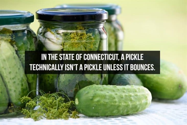 interesting fact about pickles, interesting fact about connecticut, interesting fact, interesting facts, random interesting fact, random interesting facts, fact interesting, facts interesting