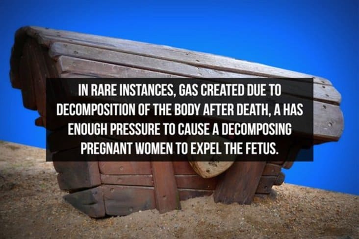 interesting decomposing body fact