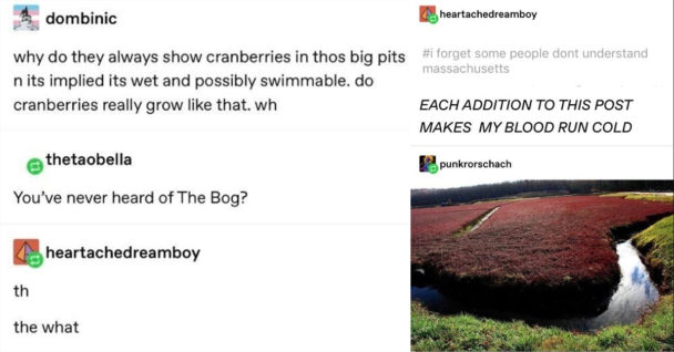 tumblr wolf spiders thread, tumblr cranberry bog thread, cranberry bog wolf spiders, cranberry bogs wolf spiders, cranberry bog spiders, cranberry bog spider story, cranberry bog spiders tumblr, wolf spiders cranberries, wolf spiders cranberries story, cranberries wolf spiders story, cranberry bog wolf spiders tumblr, cranberries spider story, cranberries spiders, wolf spiders cranberries, story about cranberries and wolf spiders