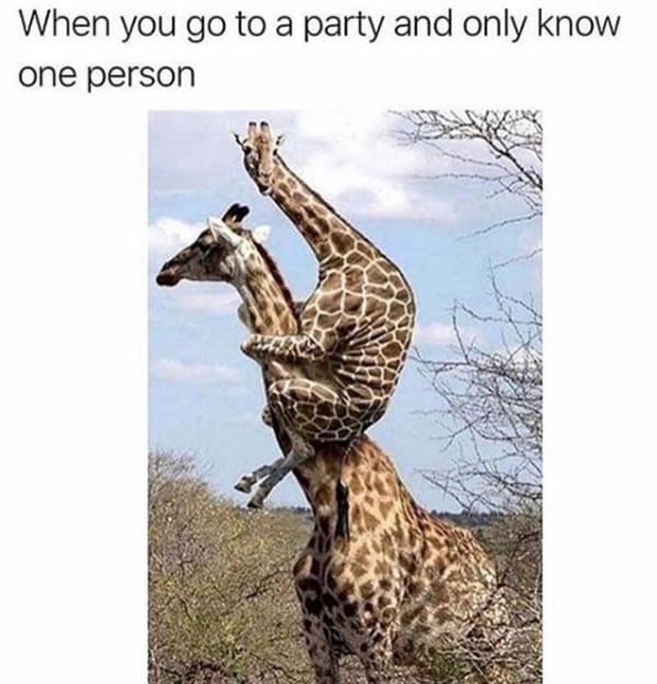 when you go to a party and only know one person introvert meme, introvert meme, introvert memes, funny introvert meme, funny introvert memes, memes for introverts, funny memes for introverts, meme for introvert, funny meme for introverts, funny introvert joke, introvert jokes, funny introvert jokes, funny jokes for introvert, funny joke about introverts, funny jokes about introverts, introvert funny meme, introverts funny meme, introverts meme, introverts memes, introvert meme funny, introvert memes funny, hilarious introvert meme, hilarious introvert memes