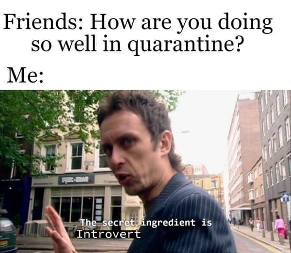 doing so well in quarantine introvert meme, doing so well in quarantine funny introvert meme