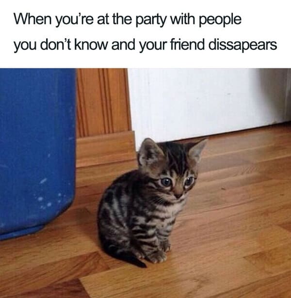 when you're at a party friend disappears introvert meme, introvert meme, introvert memes, funny introvert meme, funny introvert memes, memes for introverts, funny memes for introverts, meme for introvert, funny meme for introverts, funny introvert joke, introvert jokes, funny introvert jokes, funny jokes for introvert, funny joke about introverts, funny jokes about introverts, introvert funny meme, introverts funny meme, introverts meme, introverts memes, introvert meme funny, introvert memes funny, hilarious introvert meme, hilarious introvert memes