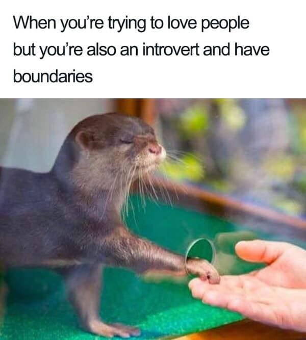 when you're trying to love people introvert meme, introvert meme, introvert memes, funny introvert meme, funny introvert memes, memes for introverts, funny memes for introverts, meme for introvert, funny meme for introverts, funny introvert joke, introvert jokes, funny introvert jokes, funny jokes for introvert, funny joke about introverts, funny jokes about introverts, introvert funny meme, introverts funny meme, introverts meme, introverts memes, introvert meme funny, introvert memes funny, hilarious introvert meme, hilarious introvert memes
