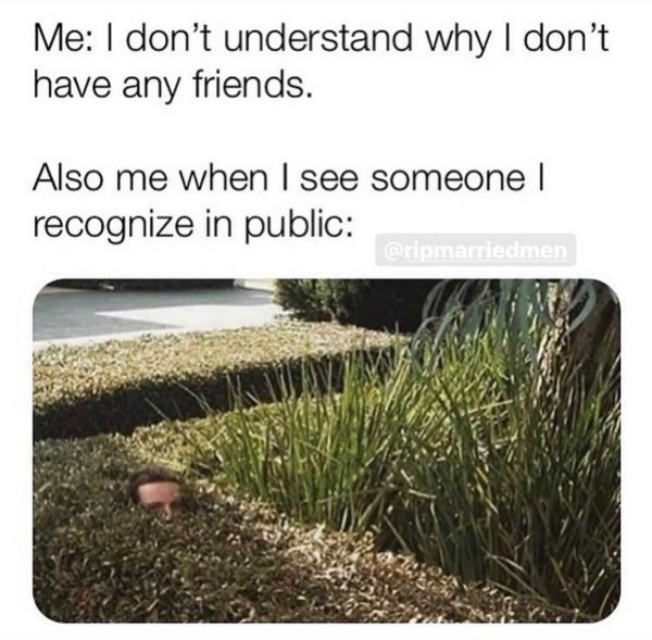 see someone i recognize in public introvert meme, introvert meme, introvert memes, funny introvert meme, funny introvert memes, memes for introverts, funny memes for introverts, meme for introvert, funny meme for introverts, funny introvert joke, introvert jokes, funny introvert jokes, funny jokes for introvert, funny joke about introverts, funny jokes about introverts, introvert funny meme, introverts funny meme, introverts meme, introverts memes, introvert meme funny, introvert memes funny, hilarious introvert meme, hilarious introvert memes