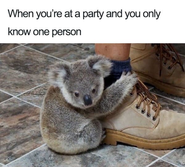 at party only know one person introvert meme, introvert meme, introvert memes, funny introvert meme, funny introvert memes, memes for introverts, funny memes for introverts, meme for introvert, funny meme for introverts, funny introvert joke, introvert jokes, funny introvert jokes, funny jokes for introvert, funny joke about introverts, funny jokes about introverts, introvert funny meme, introverts funny meme, introverts meme, introverts memes, introvert meme funny, introvert memes funny, hilarious introvert meme, hilarious introvert memes