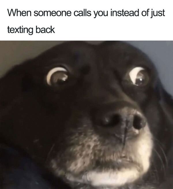 when someone calls instead of texting back introvert meme, introvert meme, introvert memes, funny introvert meme, funny introvert memes, memes for introverts, funny memes for introverts, meme for introvert, funny meme for introverts, funny introvert joke, introvert jokes, funny introvert jokes, funny jokes for introvert, funny joke about introverts, funny jokes about introverts, introvert funny meme, introverts funny meme, introverts meme, introverts memes, introvert meme funny, introvert memes funny, hilarious introvert meme, hilarious introvert memes
