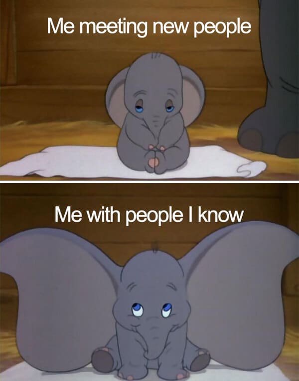 meeting new people introvert meme, introvert meme, introvert memes, funny introvert meme, funny introvert memes, memes for introverts, funny memes for introverts, meme for introvert, funny meme for introverts, funny introvert joke, introvert jokes, funny introvert jokes, funny jokes for introvert, funny joke about introverts, funny jokes about introverts, introvert funny meme, introverts funny meme, introverts meme, introverts memes, introvert meme funny, introvert memes funny, hilarious introvert meme, hilarious introvert memes