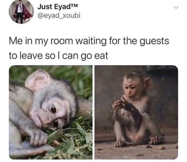 guests to leave introvert meme, introvert meme, introvert memes, funny introvert meme, funny introvert memes, memes for introverts, funny memes for introverts, meme for introvert, funny meme for introverts, funny introvert joke, introvert jokes, funny introvert jokes, funny jokes for introvert, funny joke about introverts, funny jokes about introverts, introvert funny meme, introverts funny meme, introverts meme, introverts memes, introvert meme funny, introvert memes funny, hilarious introvert meme, hilarious introvert memes