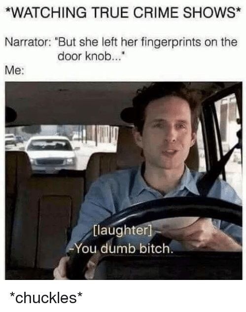 true crime meme - you dumb bitch its always sunny