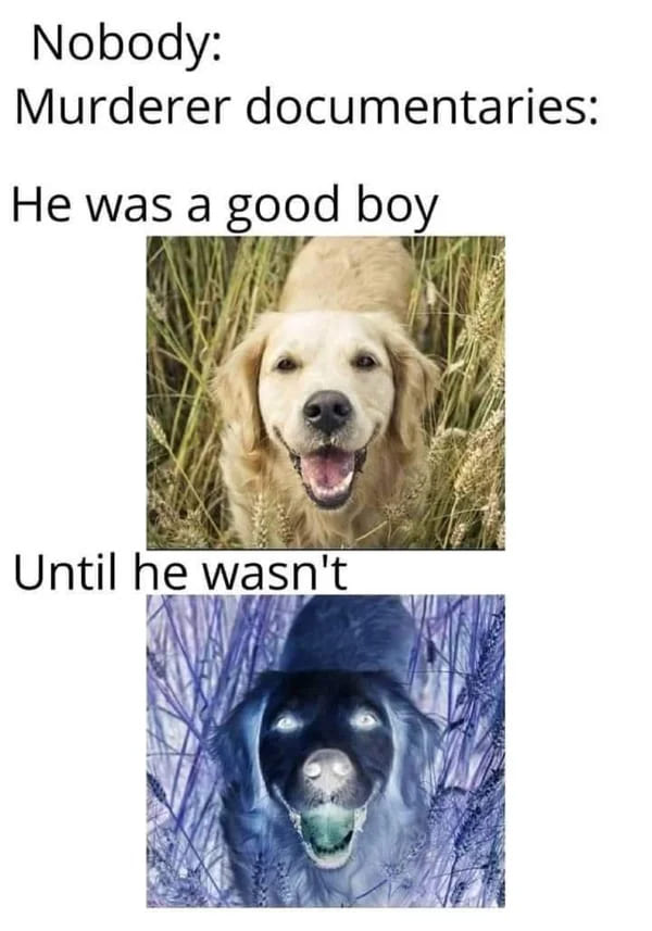 true crime meme - he was a good boy until he wasn't