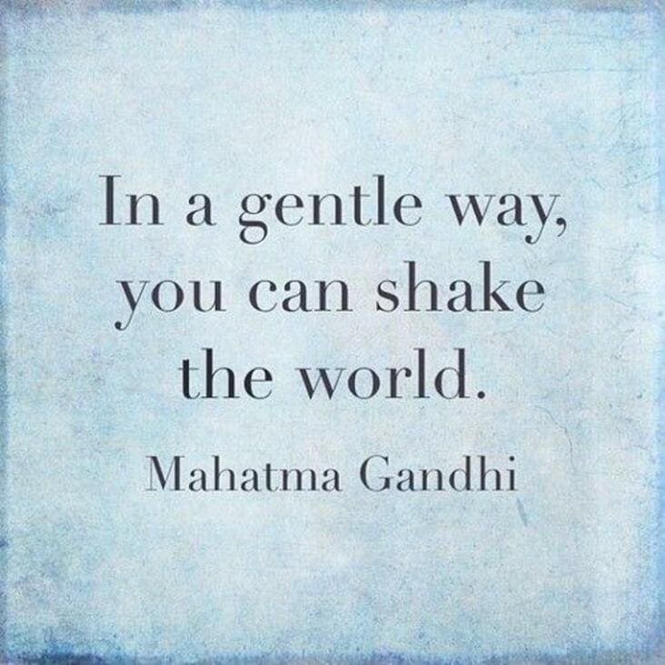 in a gentle way you can shake the world inspirational meme