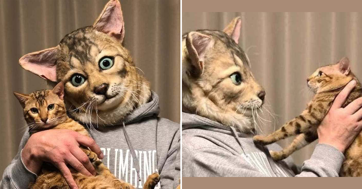 Wear a Realistic (And Terrifying) Version of Your Cat's Face - Michigan  Humane