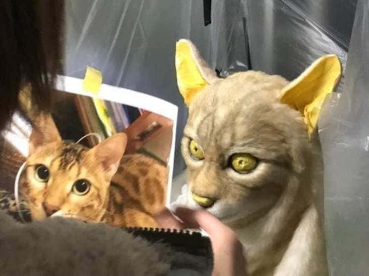 realistic cat mask, Shindo Rinka cat mask, cat mask that looks like your cat