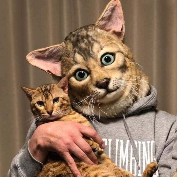 realistic cat mask, Shindo Rinka cat mask, cat mask that looks like your cat