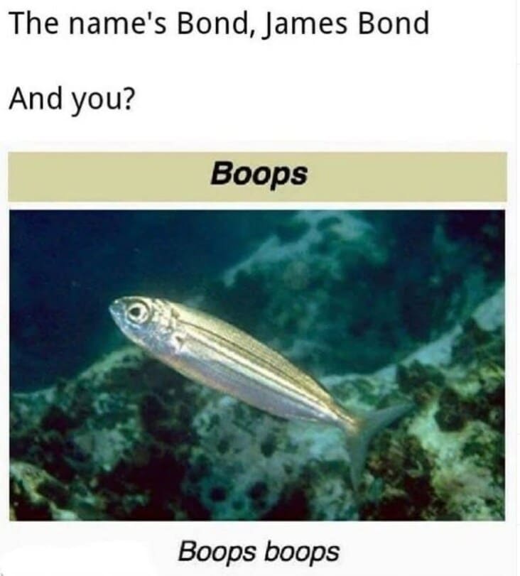 New Marine Biology Memes When The Memes The Memes Last Memes - kulturaupice