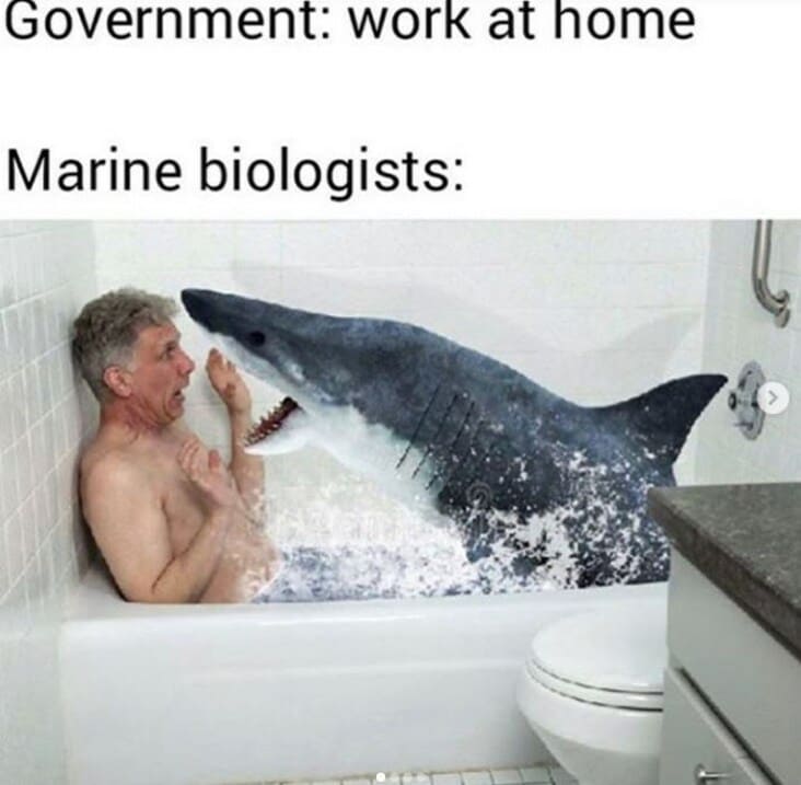 marine biology meme, marine biology memes, funny marine biology meme, funny marine biology memes, ocean biology meme, ocean biology memes, funny ocean biology meme, funny ocean biology memes