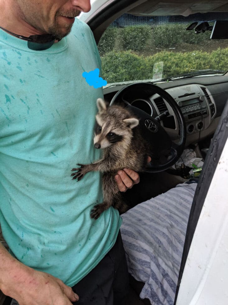 customer had raccoon just rolled into the shop, just rolled into the shop, reddit just rolled into the shop, just rolled into the shop reddit, justrolledintotheshop, justrolledintotheshop reddit, r Just rolled into the shop, crazy auto mechanic story, crazy auto mechanic stories, weird mechanic story, weird mechanic stories, weird auto mechanic story, weird auto mechanic stories, crazy auto mechanic story, crazy auto mechanic stories