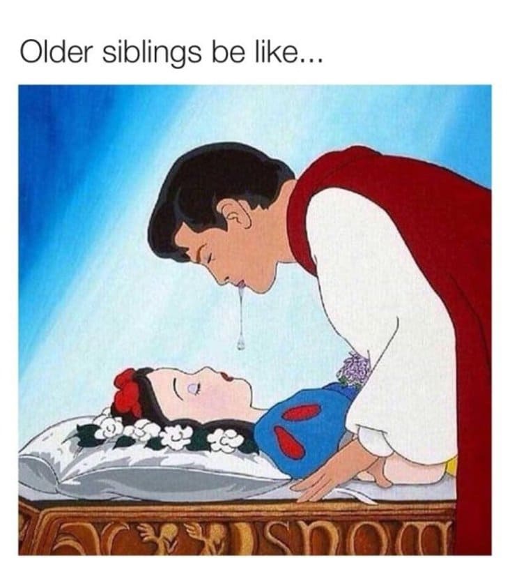 older siblings nostalgic meme