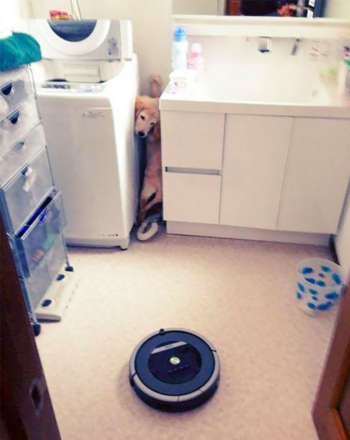 People Are Sharing Their Funniest Roomba Fails (35 Pics) - Jarastyle