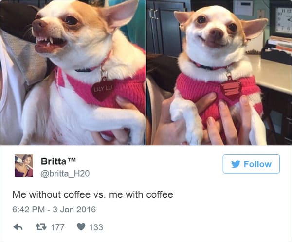 coffee meme, coffee memes, funny coffee memes, funny coffee meme, hilarious coffee meme, need coffee meme, morning coffee meme, coffee time meme, drinking coffee meme, more coffee meme, memes about coffee, hilarious coffee memes, funny memes about coffee, coffee meme images, coffee meme pictures, funny meme about coffee, best coffee memes, meme about coffee, coffee lover meme, coffee lovers meme, joke about coffee, coffee joke, coffee jokes, funny joke about coffee, funny coffee jokes, funny coffee joke, funny coffee tweet