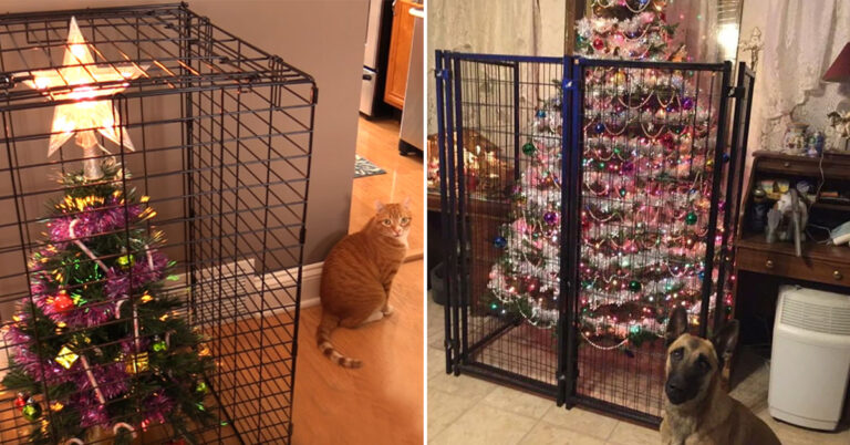 Pet Owners Find Clever Ways To Cat-Proof Their Christmas Tree (35 Pics)