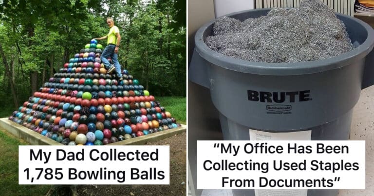 50 People Share The Most Bizarre Things They Collect