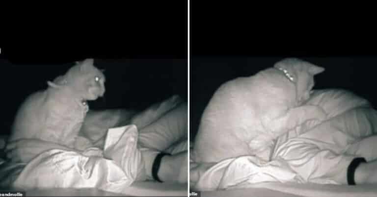 Woman Sets Up Camera To Find Out Why She’s Sleeping Poorly, But Finds Out Much More