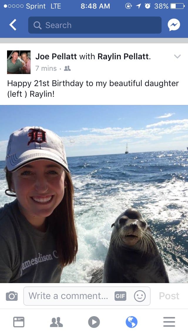 sea lion dad wish happy birthday 
