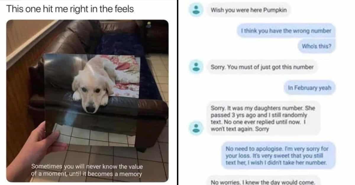 I’m Not Crying, You’re Crying (50 Heartwarming Posts)