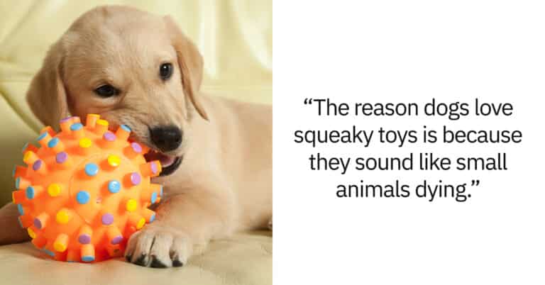 Sometimes Facts Are Not So Fun (22 Pics)