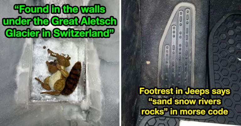 50+ Real-Life Easter Eggs That Made People Do A Double Take